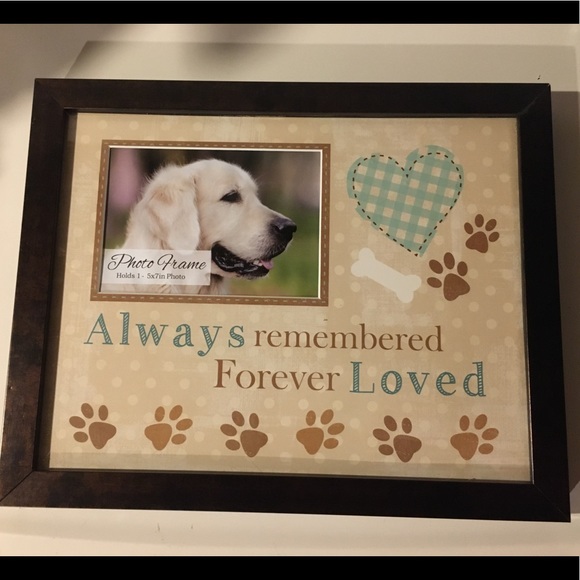 Other - Beautiful pet picture frame